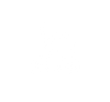 Gut Support icon