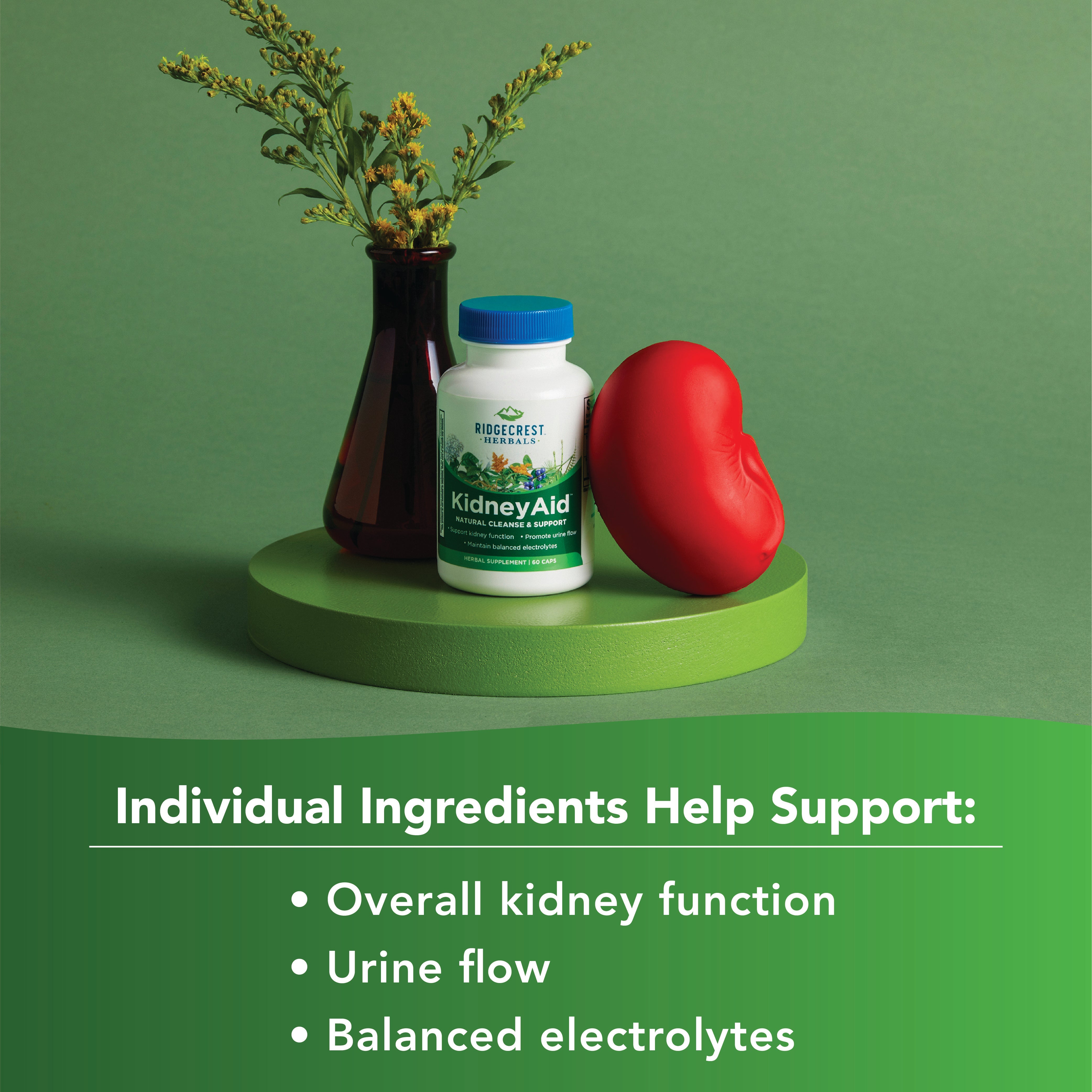 KidneyAid™