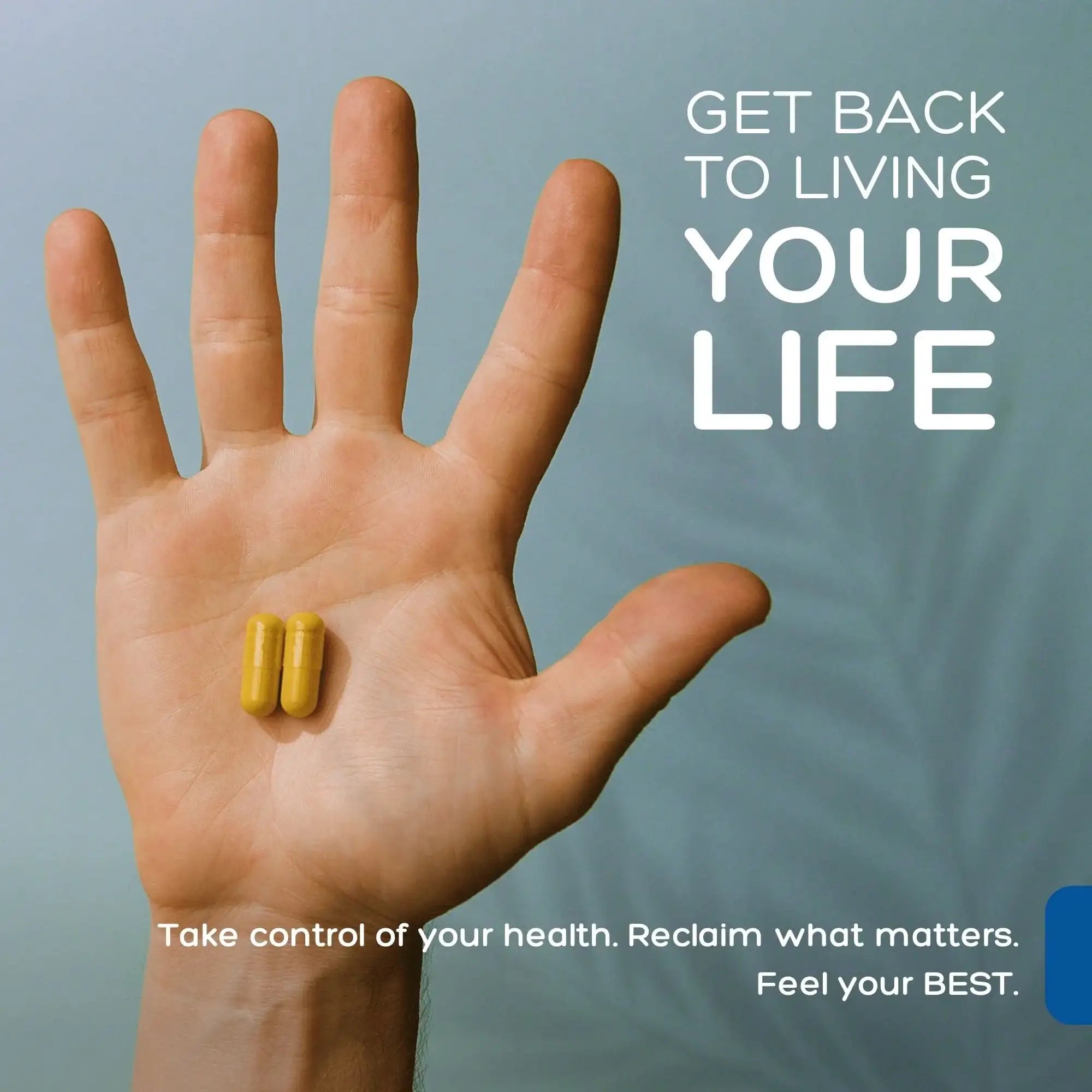 Biofilm Immune Support Complex | Palmara Health