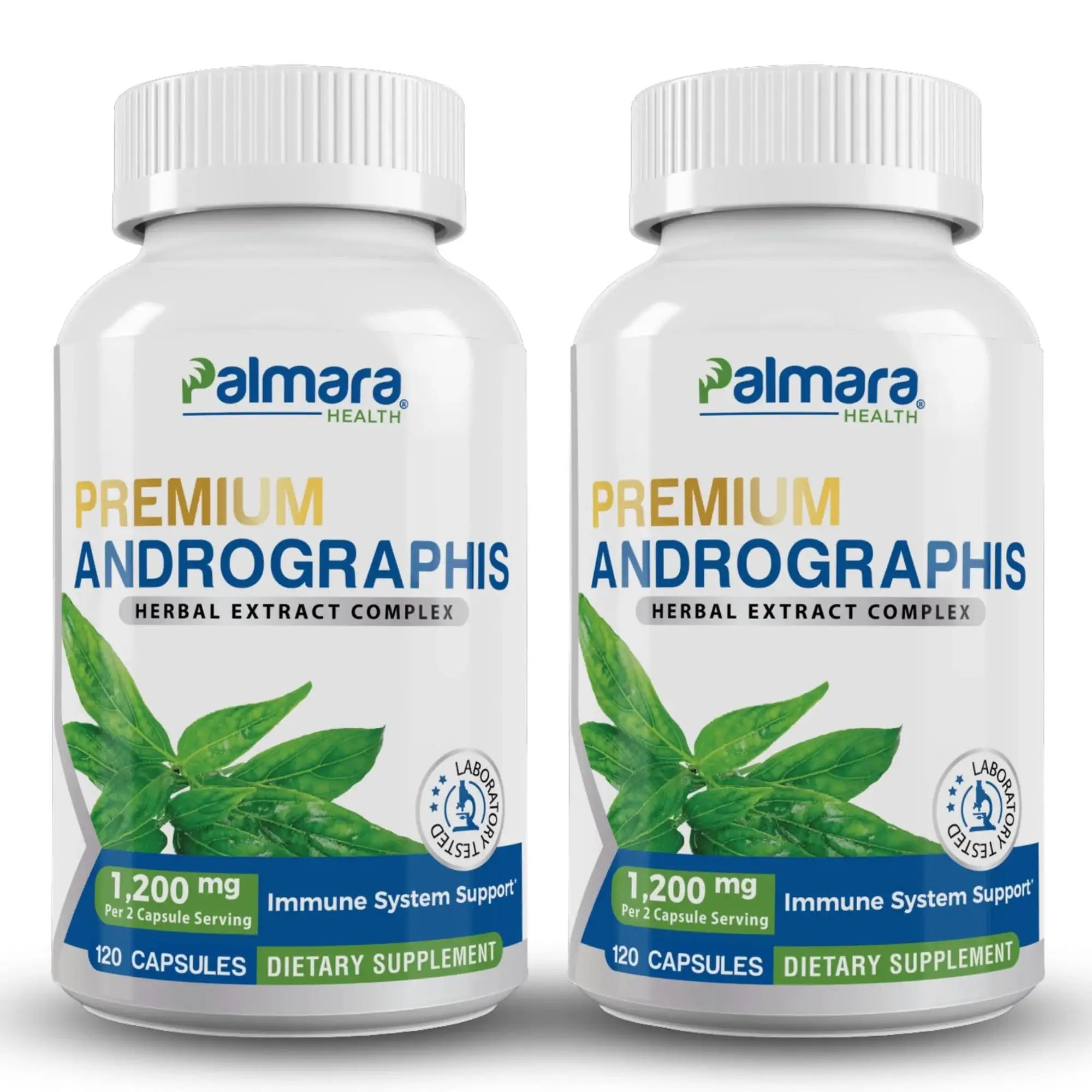 Premium Andrographis Extract | Palmara Health