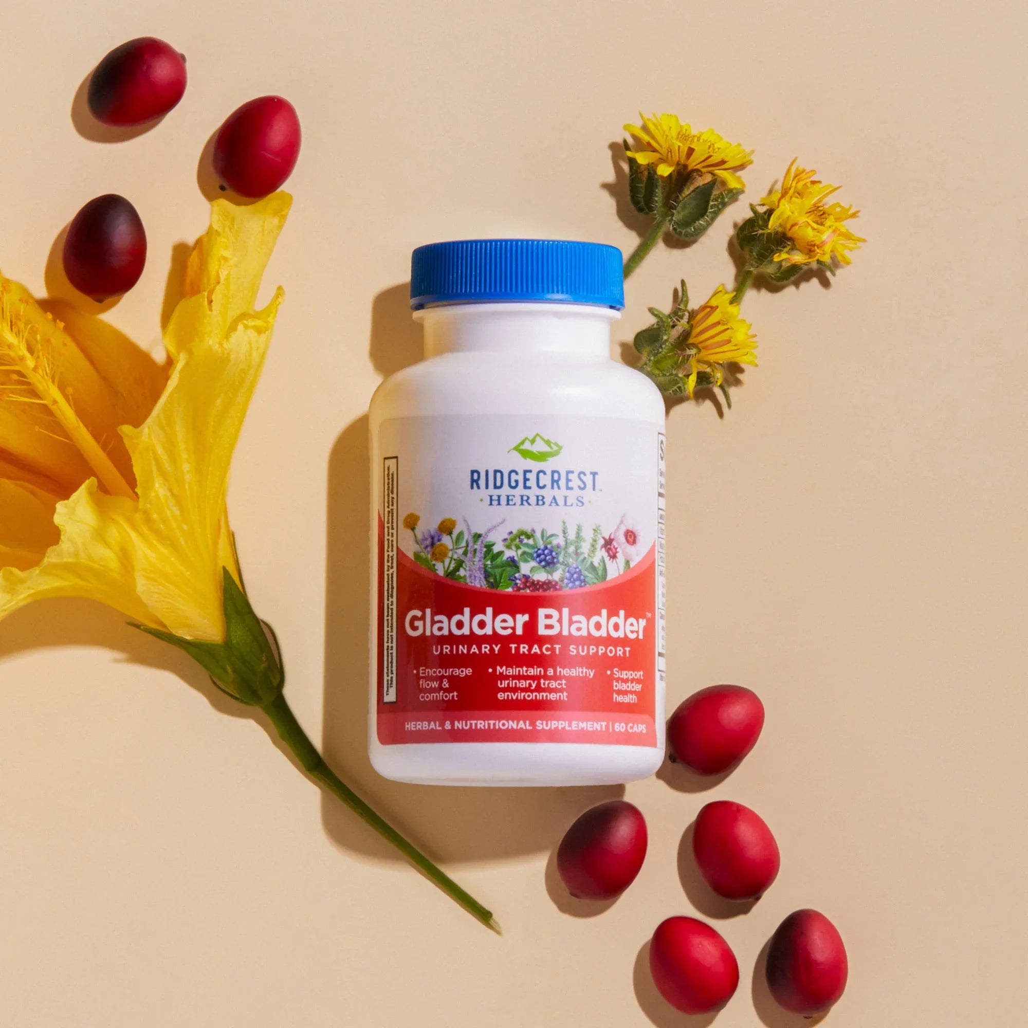 Gladder Bladder™