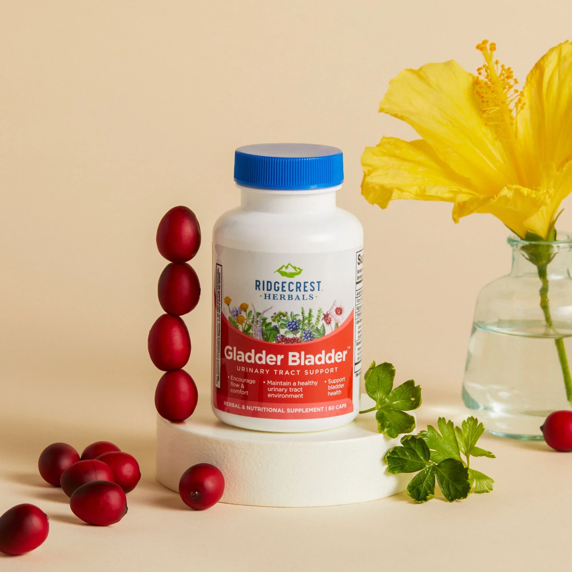 Gladder Bladder™