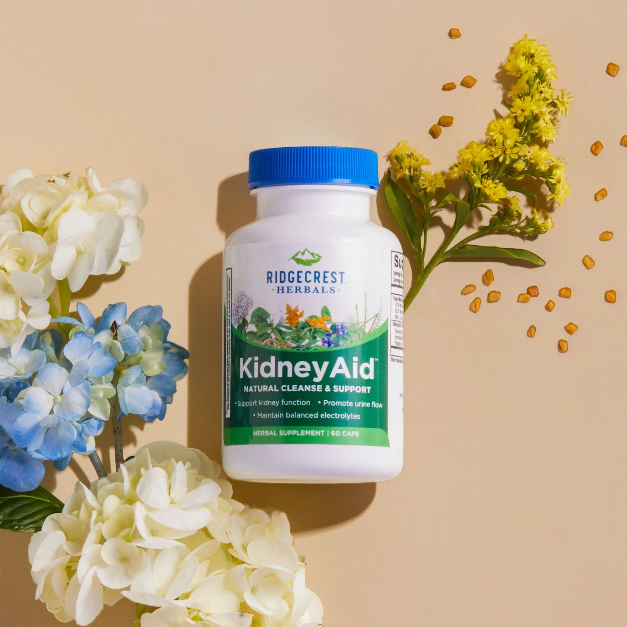 KidneyAid™