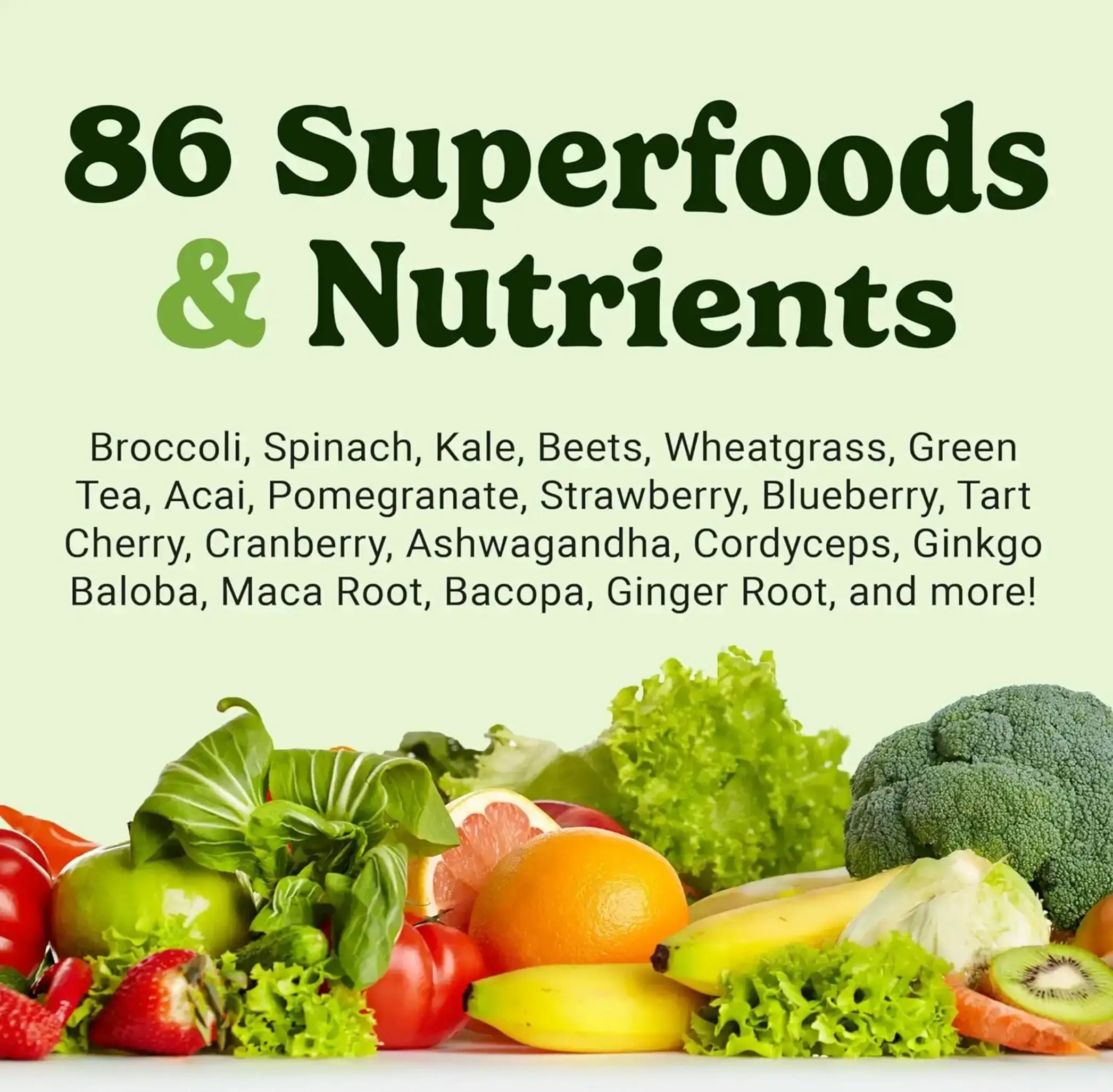 VitaHustle Protein Superfood - Cookies & Cream | Plant-Based Shake with  Probiotics, Greens, Antioxidants, Adaptogens, HSA/FSA Eligible