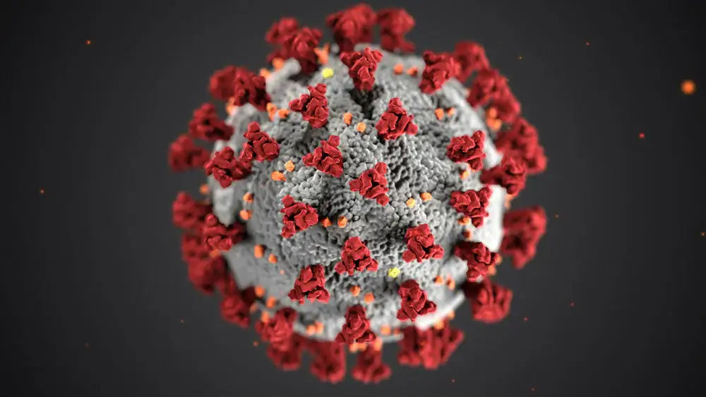 Bacterial Infections