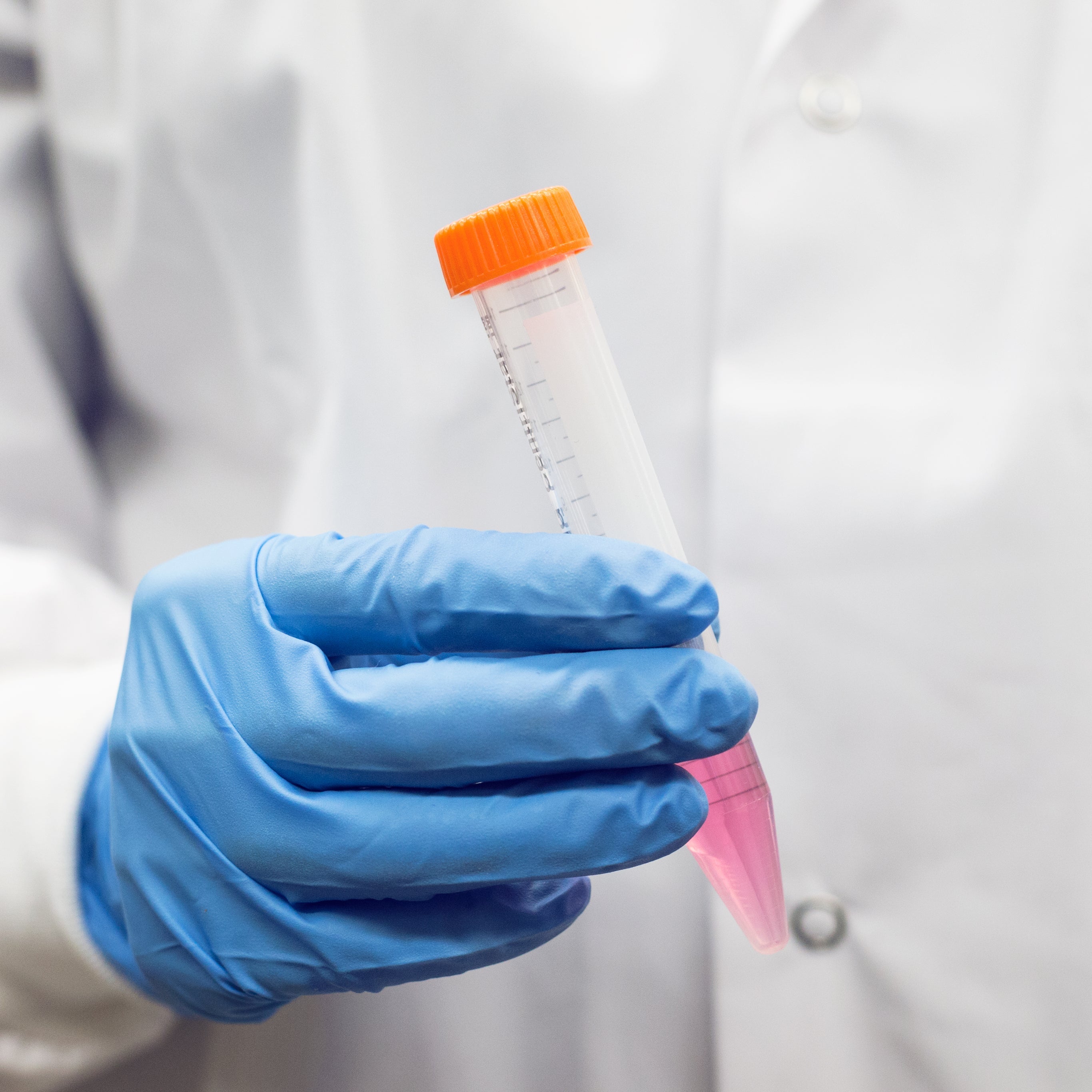 Lab Work